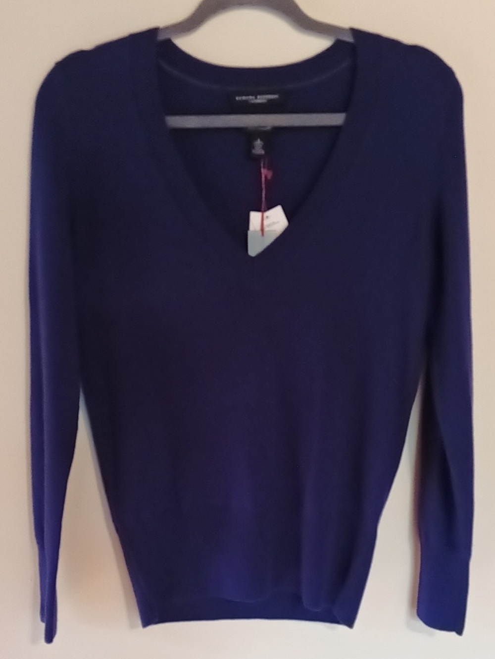 Cashmere Banana Republic Purple 🟣 V-neck Sweater Ribbed Cuffs And Hem Small NWT